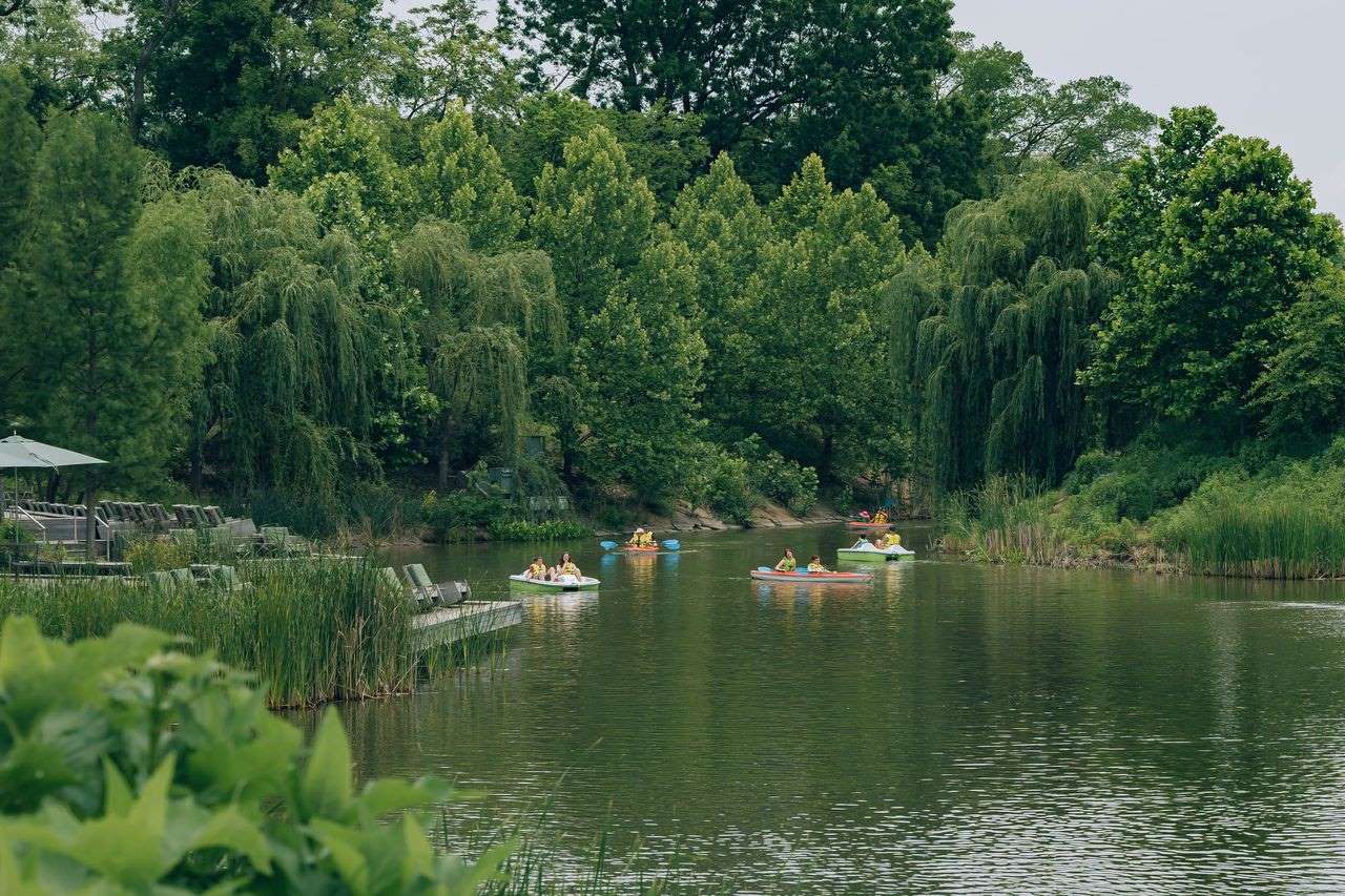 People paddling small boats on Peggy’s Pond, framed by willow trees